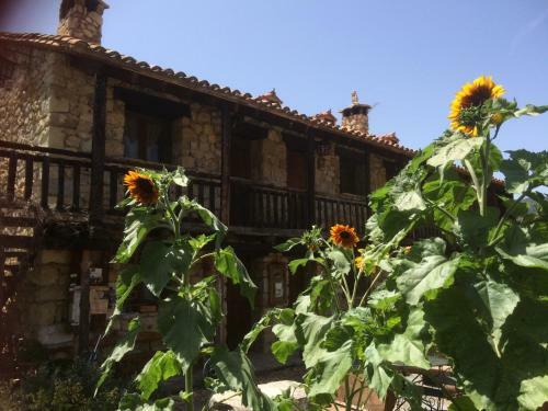 Apartamento Casas Rurales Chon Alto Tajo