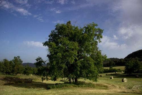 Villa Llu�anes
