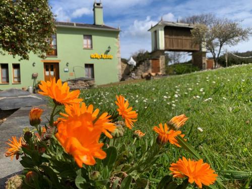 Agroturismo Os Tres Teixos