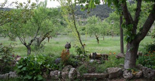 Agroturismo Ca La Nuri