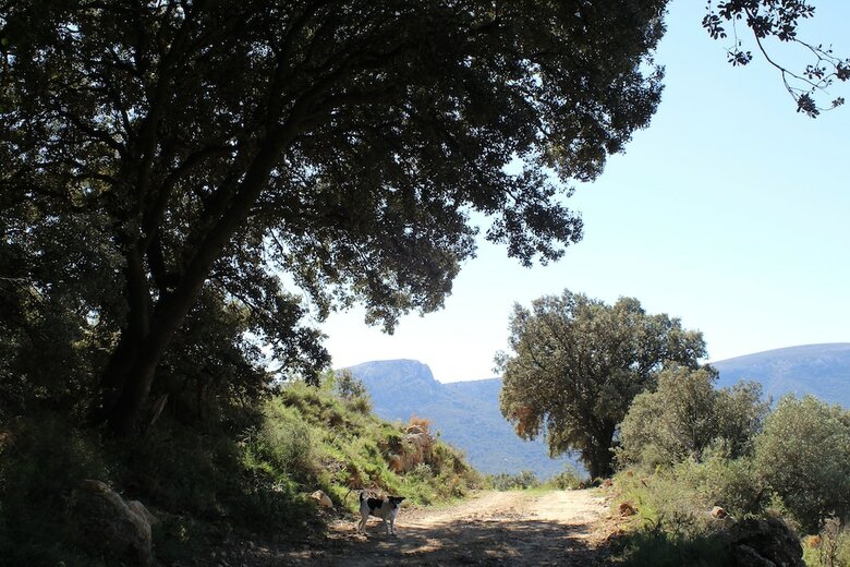 Apartamento Aldea Ecorural