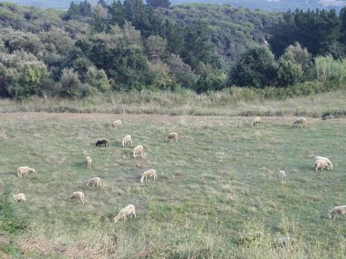Agroturismo Can Llobet