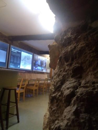 Albergue Refugi Arbol�