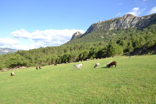 Agroturismo Casa Carlota