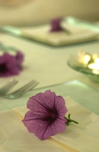 Hostellerie Clau Del Loup - Logis Hotels