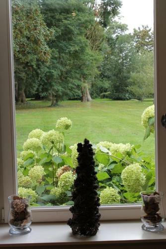 Bed & Breakfast Chambres D'aumont