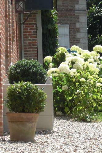 Bed & Breakfast Chambres D'aumont