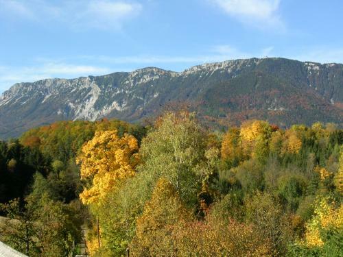 Hotel Flackl - Wirt Seminare