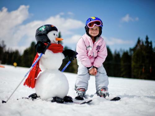 Chalet Steiermark