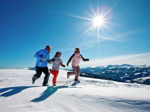 Chalet Murau Chalet 12