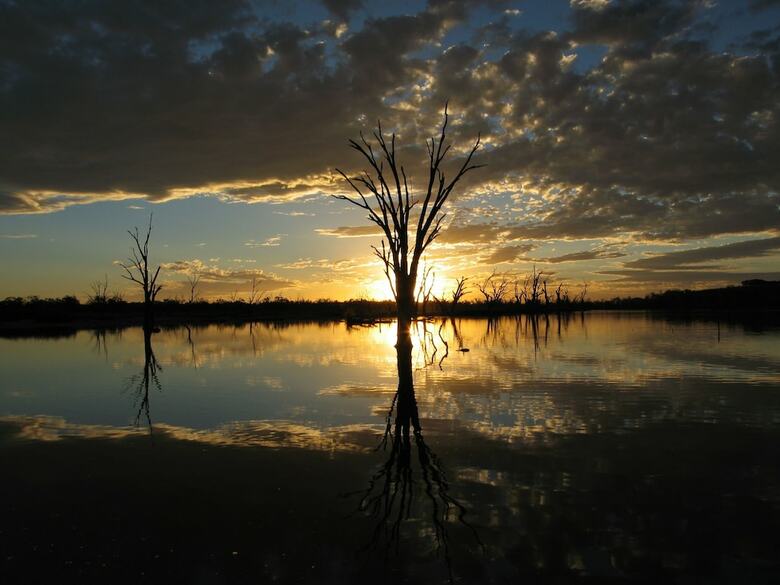 Waikerie Holiday Park