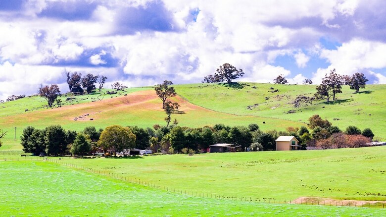 Agroturismo Hillview Farmstay