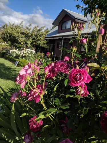 Magenta Cottage