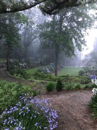 Hostal Foxglove Gardens
