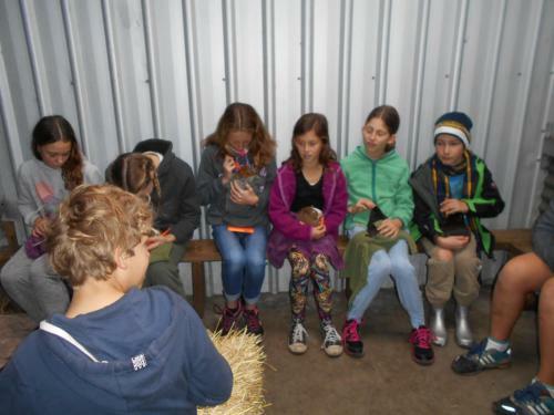 Agroturismo Kerriley Park Farmstay