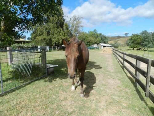 Agroturismo Glenfield Cottage