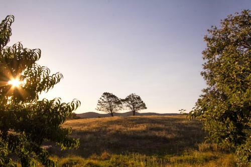 Agroturismo Lone Pine Farm House