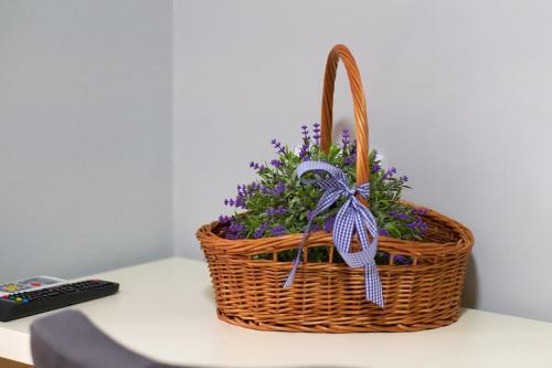 Apartamentos Green Elite Residence