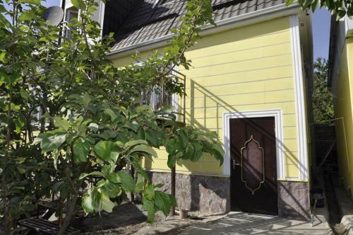 Apartments Firuze