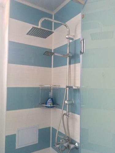 Apartments Firuze