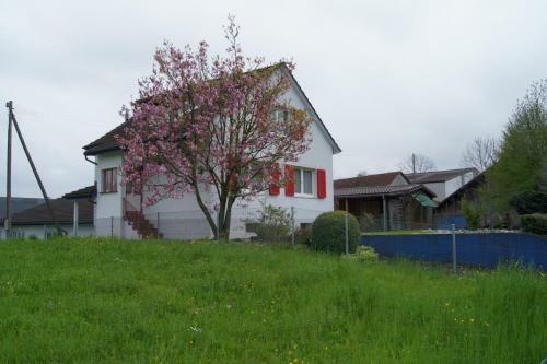 Fewo Arbonerstrasse Romanshorn