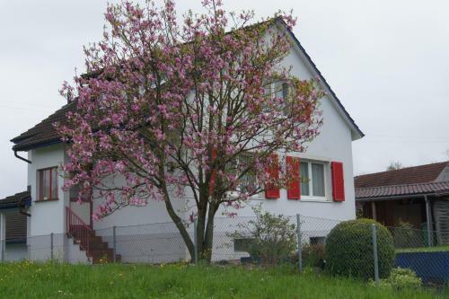 Fewo Arbonerstrasse Romanshorn