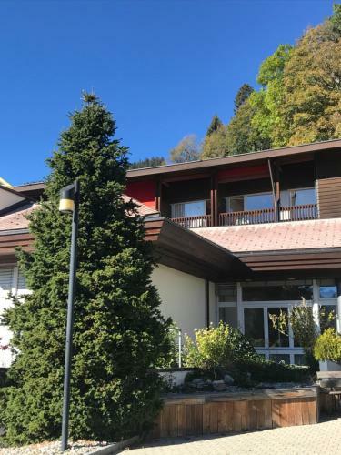 Hotel Budget Rooms Gstaad