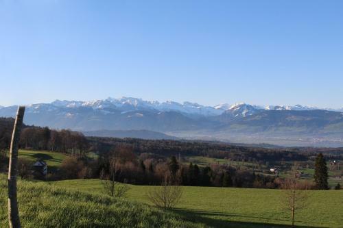 Hotel Landgasthof Hasenstrick
