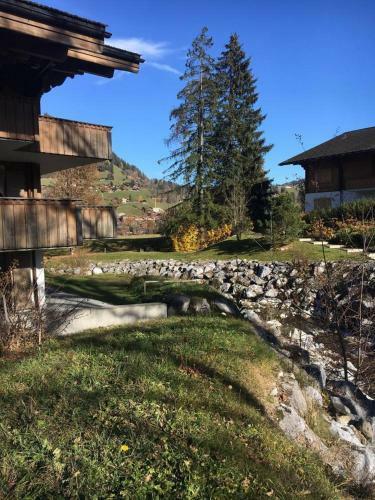 Gstaad Beautiful Luxury Apartment By The River