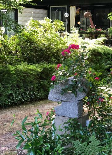 Apartamento Linden-jachthoorn