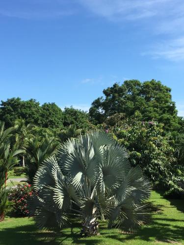 Hotel Los Higuerones