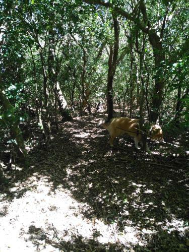 Agroturismo Caba�as Don Camilo