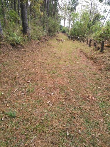 Agroturismo Caba�as Don Camilo
