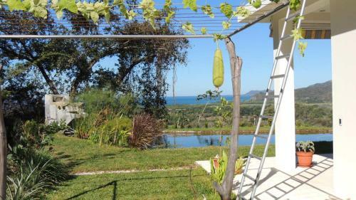 Bed & Breakfast Casa Laureles