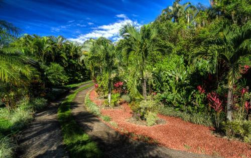 Villa Mountain Paradise