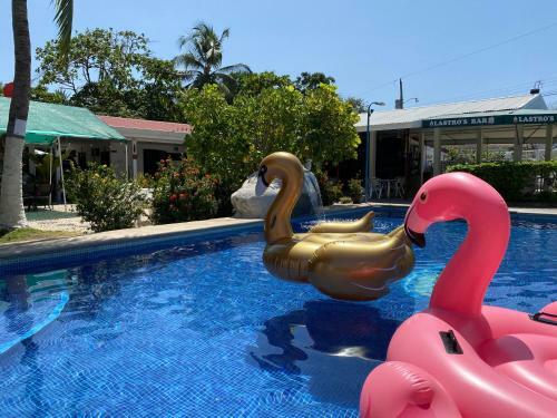 Hotel Luna De Mata De Lim�n