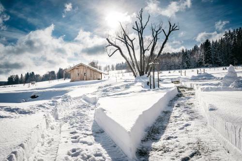 Aparthotel & Wellness Kn�?ec� Cesta