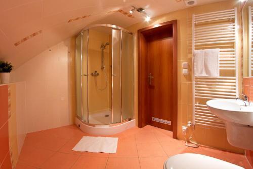 Apartm�n L�pa-lipno