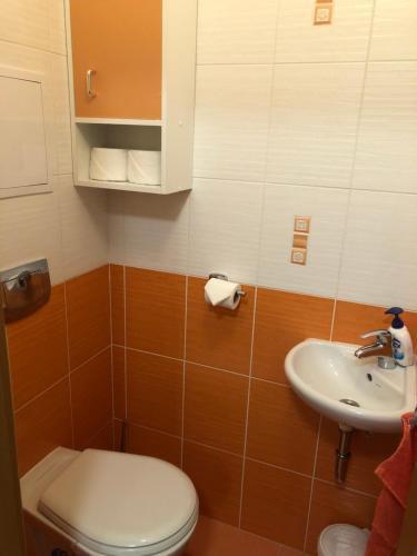 Apartamento Lipno Nad Vltavou 1