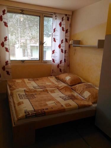 Camp Desna