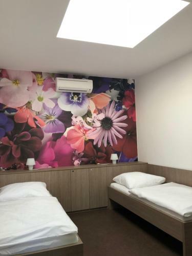 Hostal Penzion U Ho?k?