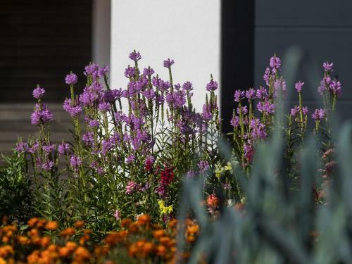Apartamento Saunaloft Schwarzwald