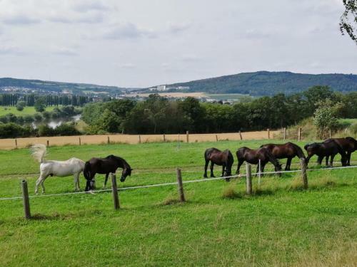 Posada Hotel Steinkrug An Der Weser