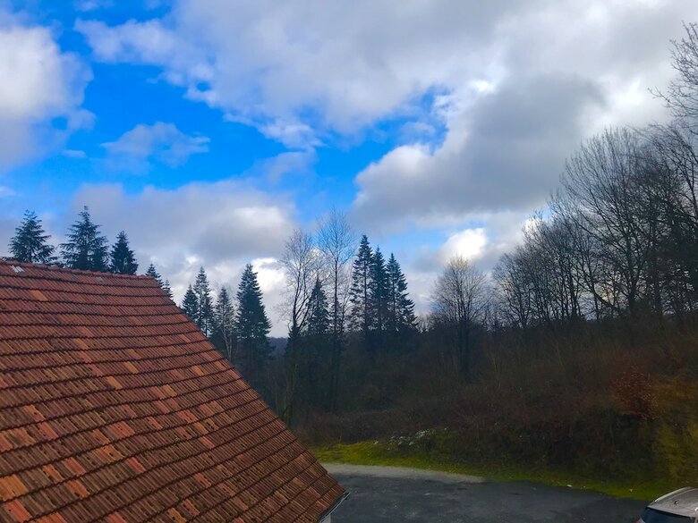 Waldhotel "peter Aufm Berge"