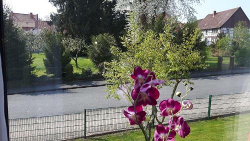 Apartamento S�dseite
