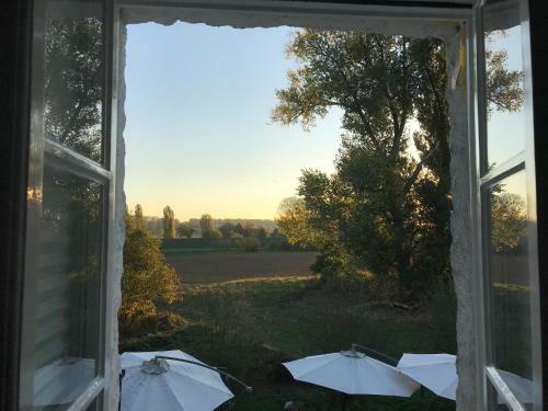 Hostal G�stestudio Mit Rheinblick