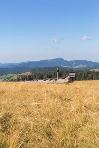 Apartamento Ferienwohnung Waldblick - [#92986]