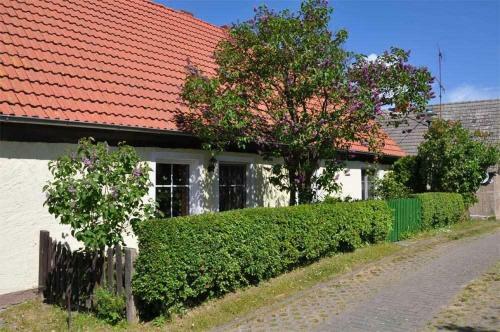 Ferienhaus Gruenow See 8141