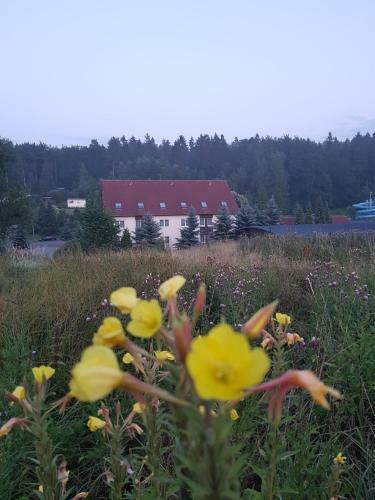 Landhotel "sumpfm�hle" Am Tharander Wald