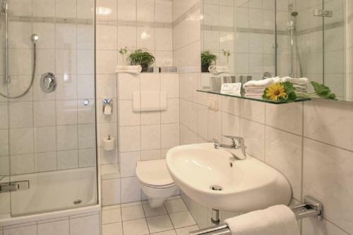 Posada Gasthof Zum Schwan
